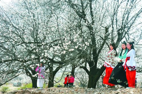 世界杯模拟器界面预览